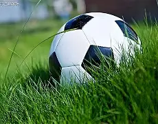 摩纳哥足球俱乐部亨利