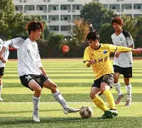 足球赛精彩的瞬间片段